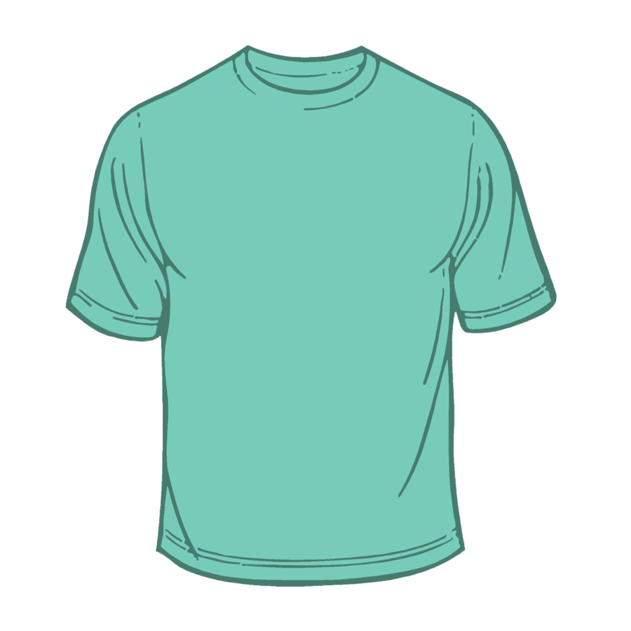Adult Solid T-shirt Chalky Mint (T-100)
