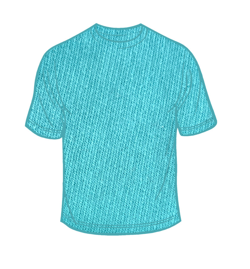 Adult Solid T-Shirts Lagoon Blue T-100