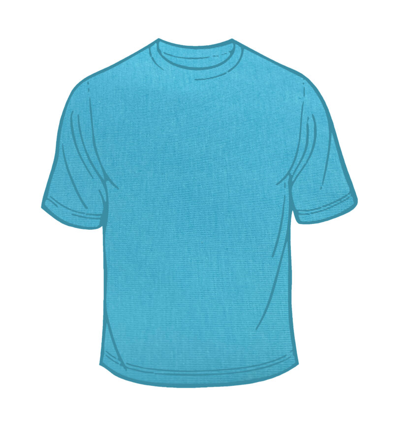 Adult Solid T-Shirts Sky Blue T-100